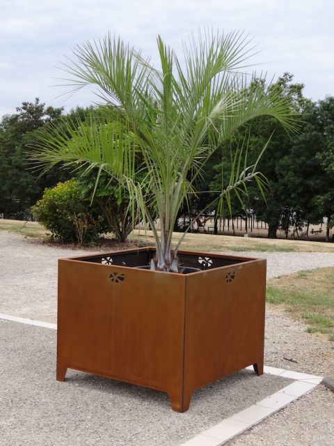 POT CORTEN CARY