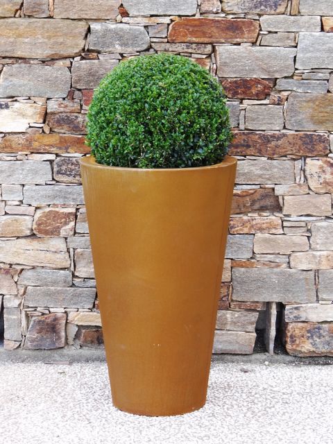 POT CORTEN RONY