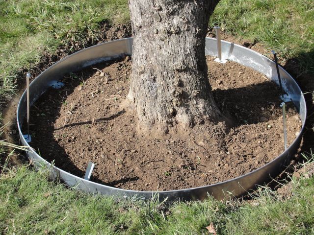 ENTOURAGE D’ARBRE ROND