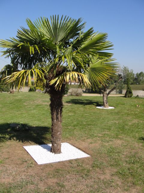 ENTOURAGE D’ARBRE CARRÉ