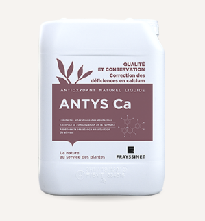 ANTYS Ca